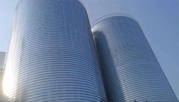 薛城2座混凝土高架卷板仓